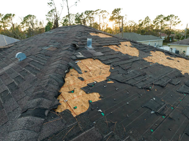 Best Steel Roofing  in Leisure Knoll, NJ